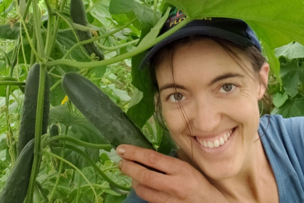 Simcoe Harvest - Fresh Local Food Delivered